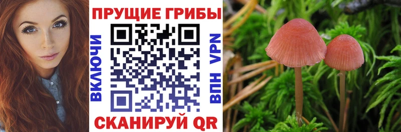 Галлюциногенные грибы MAGIC MUSHROOMS  Александровск-Сахалинский 